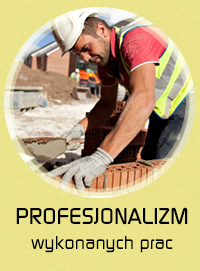 profesjonalizm