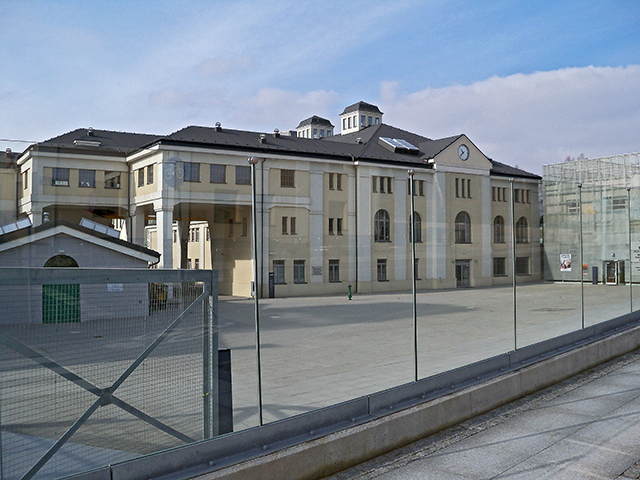 Muflony 2005