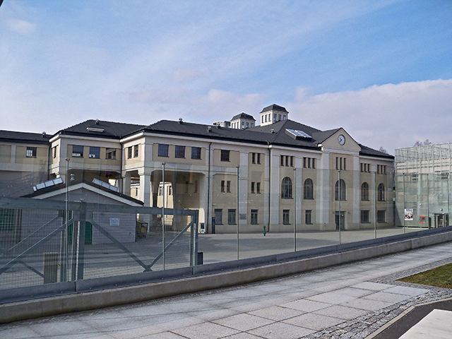 Muflony 2004